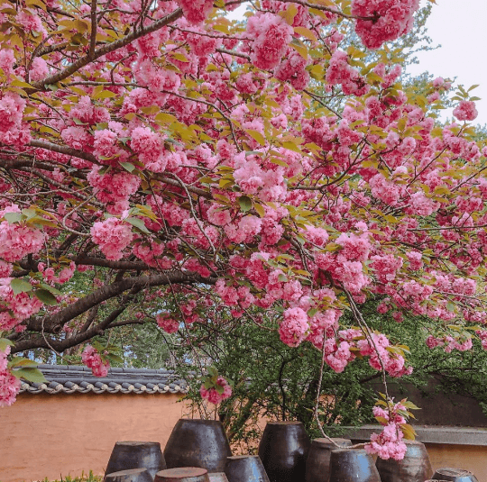 허균&middot;허난설헌기념공원 