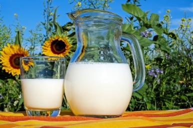 이석증에 좋은 우유