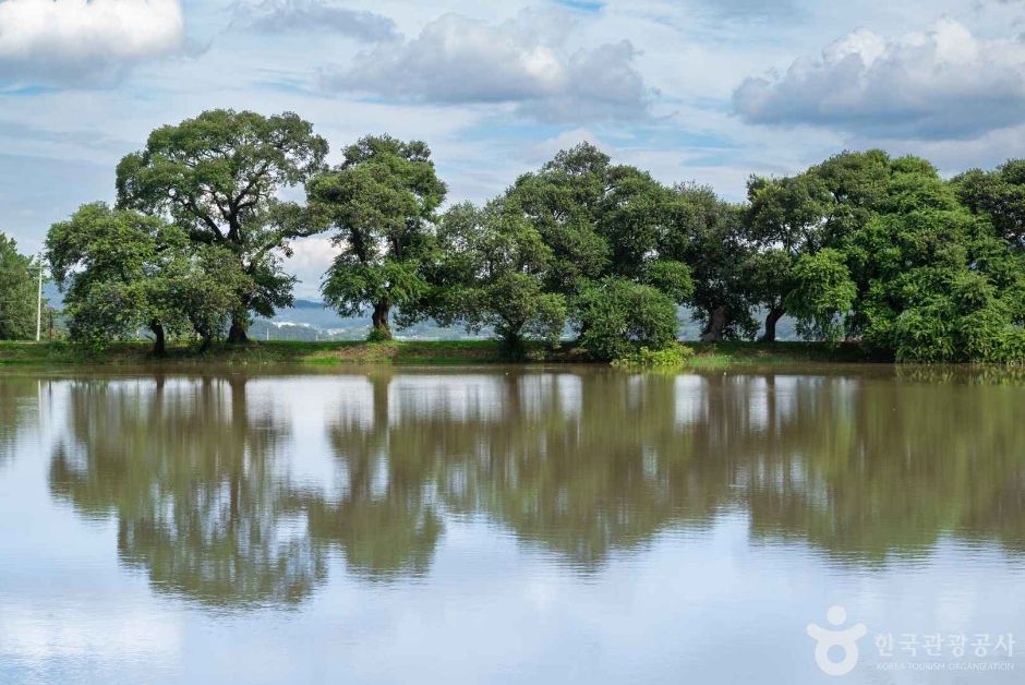 경산 가볼만한곳 베스트10