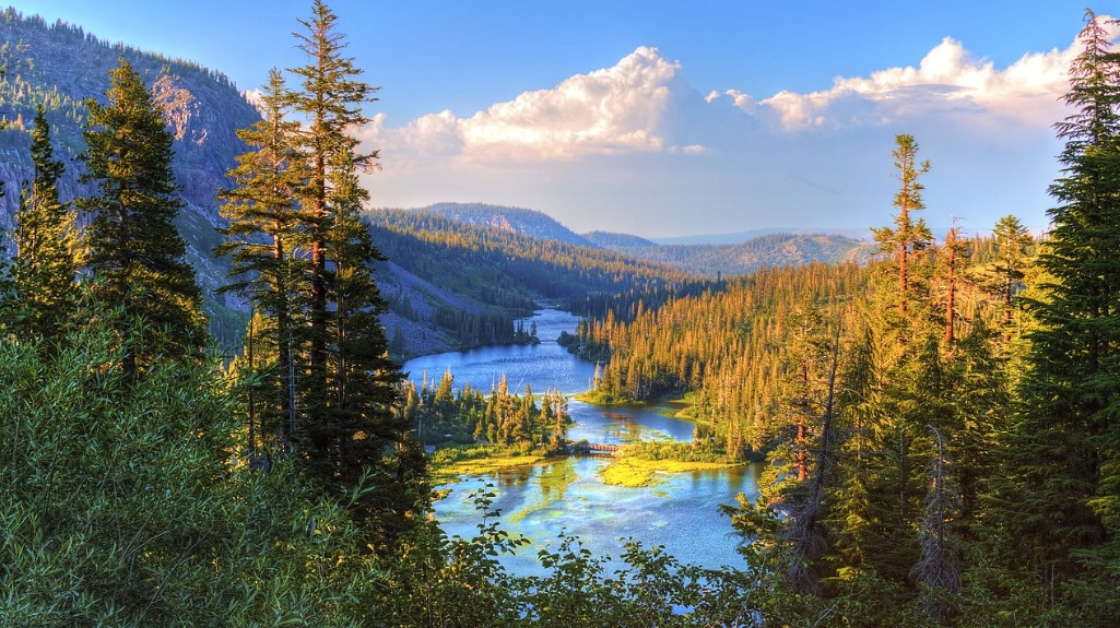 나무와 강, 산이 있는 사진