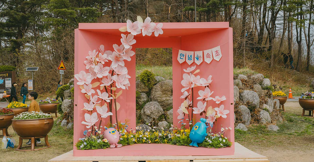 강원도 벚꽃 명소