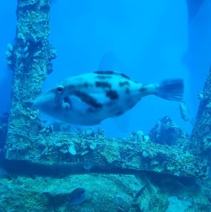 울진아쿠아리움