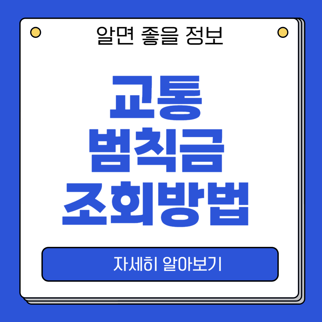 교통범칙금