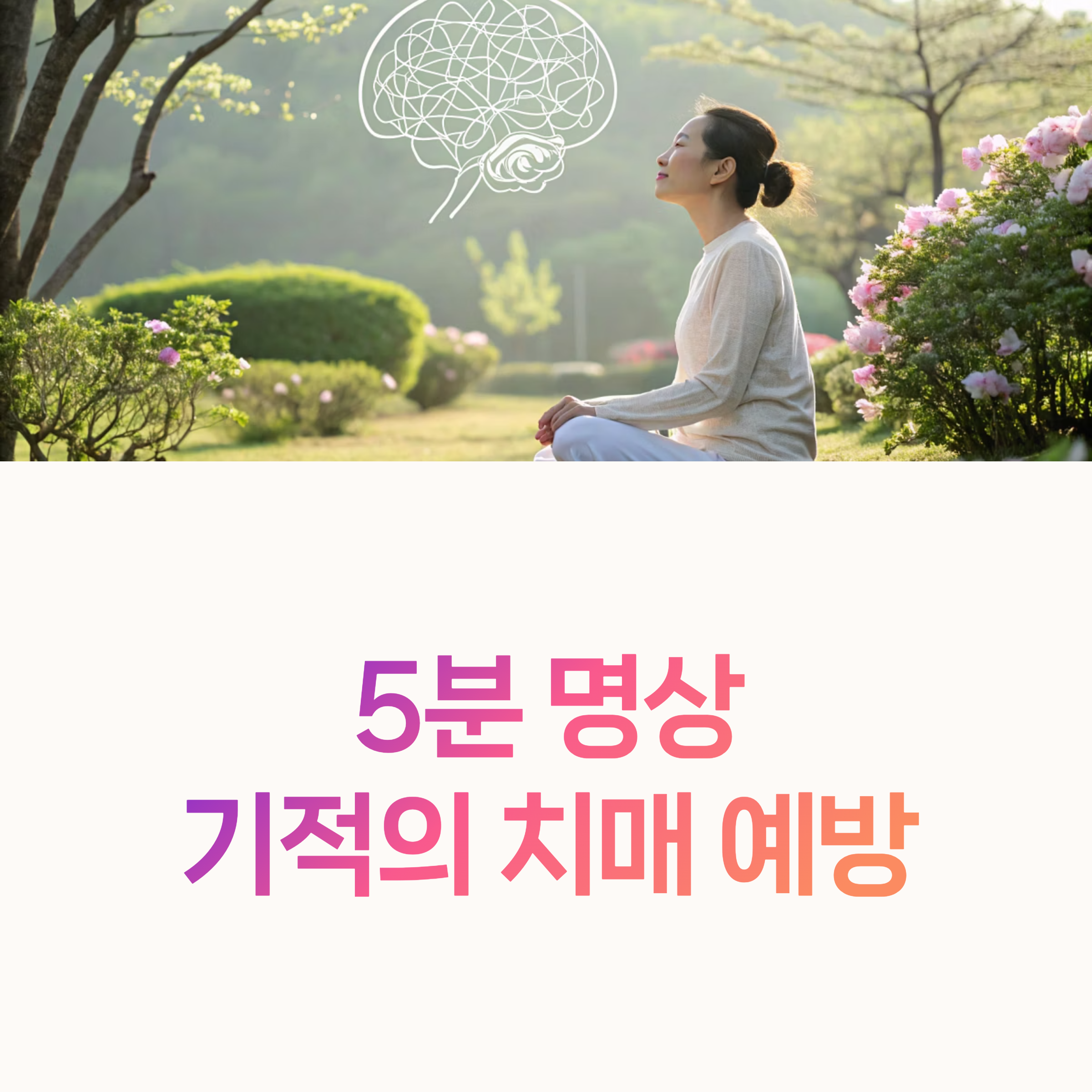 명상 기억력 향상
