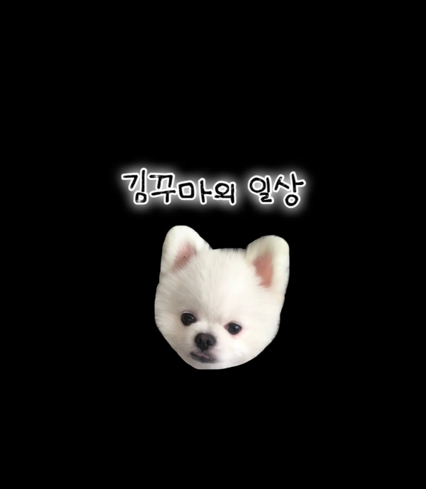 꾸마의_일상_썸네일