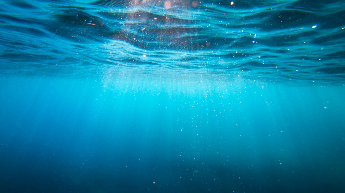 Independence in Children 7