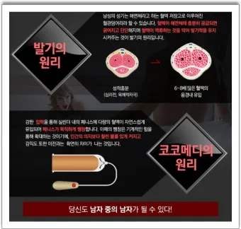 코코메디 가격과 효능 후기_13