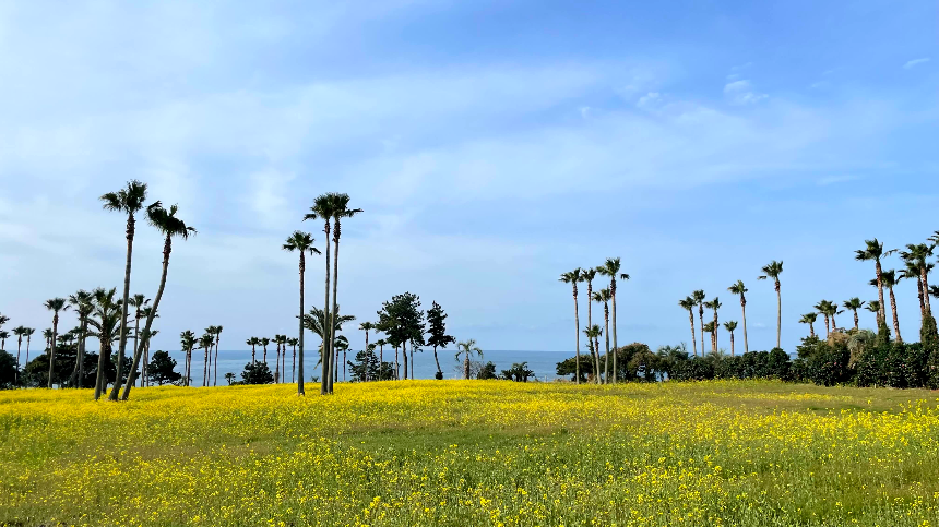 중문 미라지 초입