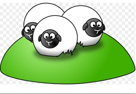 2026 양띠 신년운세 총정리 &amp;#44; 무료운세 사이트