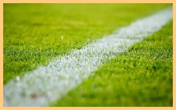 축구 결과 한국 팔레스타인 (하이라이트 동영상)