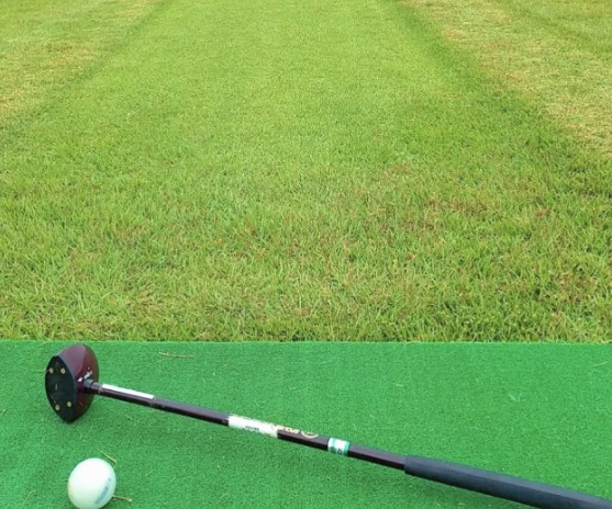 파크골프 지도자 자격증 취득방법