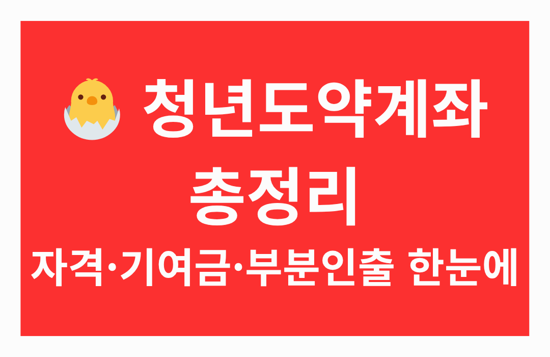 청년도약계좌 사용설명서|자격·기여금·부분인출까지 한눈에