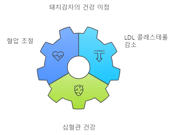 돼지감자 효능