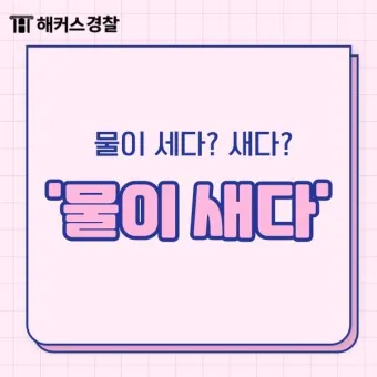 물이 세다 새다 맞춤법 맞는 표현_5