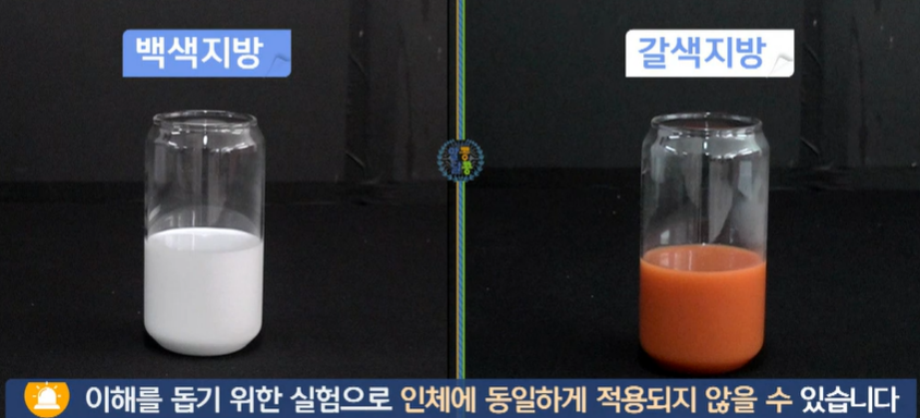 모로실 효능