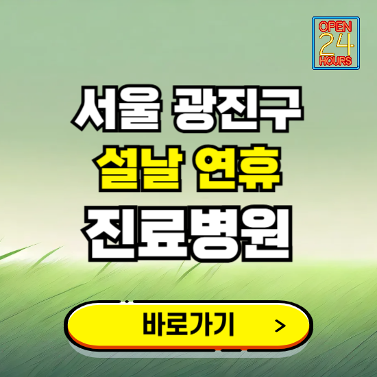 서울 광진구 설날 연휴 진료병원 찾기 ❘ 24시 응급 야간 심야 문여는 병원