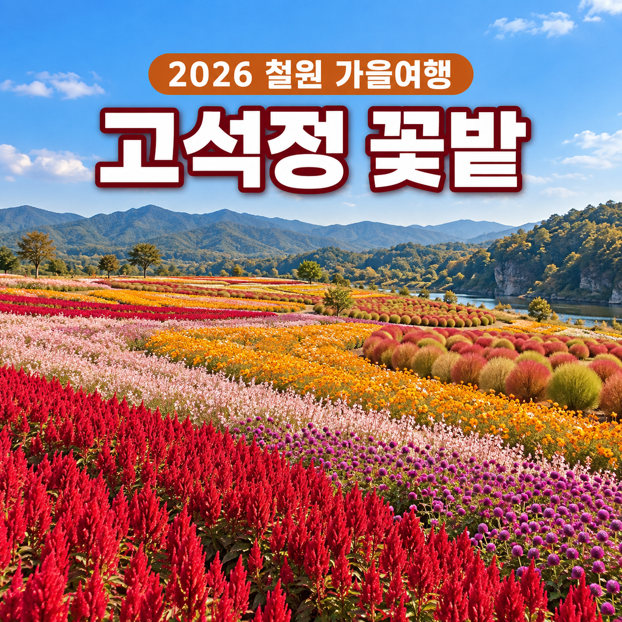 철원 고석정 꽃밭 총정리: 입장료 환급, 주차 팁, 인생샷 포토존 및 추천 코스