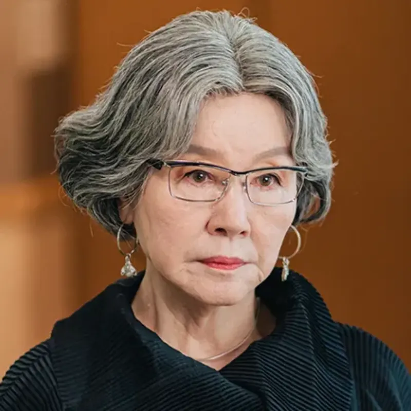 그놈은 흑염룡에서 정효선 역을 맡은 반효정