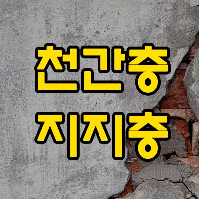 천간충 지지충