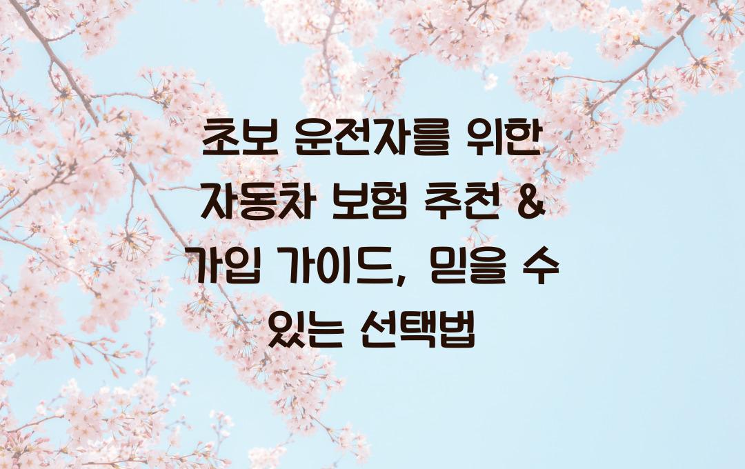 초보 운전자를 위한 자동차 보험 추천 & 가입 가이드