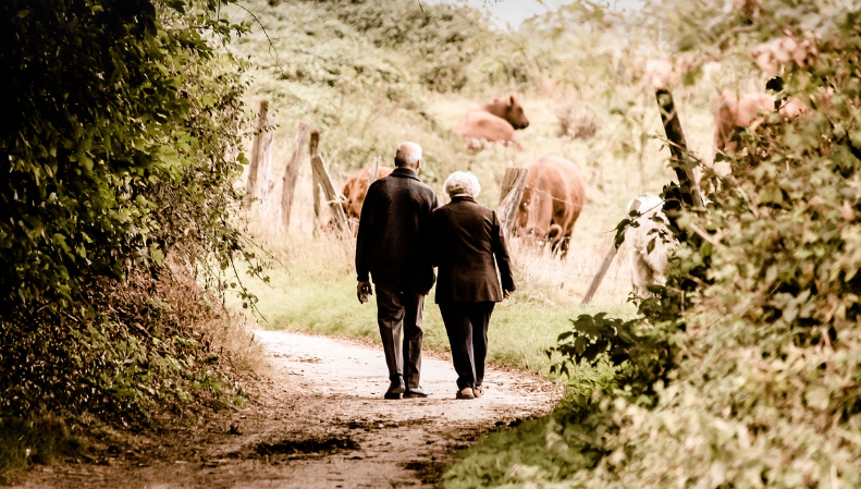 은퇴 후 하기 좋은 운동 5가지｜노후 건강과 자기개발을 함께 잡는 방법