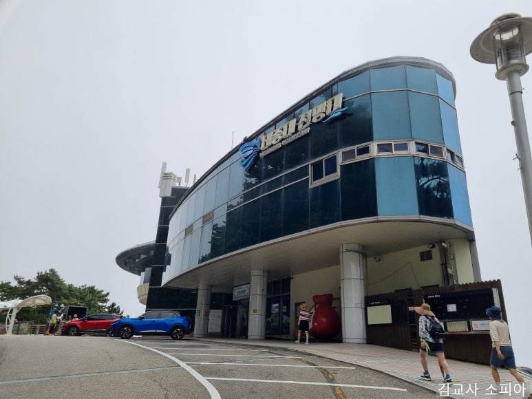 부산 태종대 폭염 여행 리얼후기🌊 여름 필수템 8가지 추천