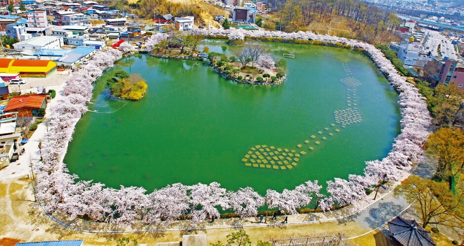김천 교동 연화지