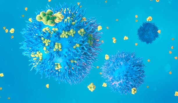 몸 속 염증을 줄이는 항염증 식단의 비밀: 무엇을 먹어야 할까?