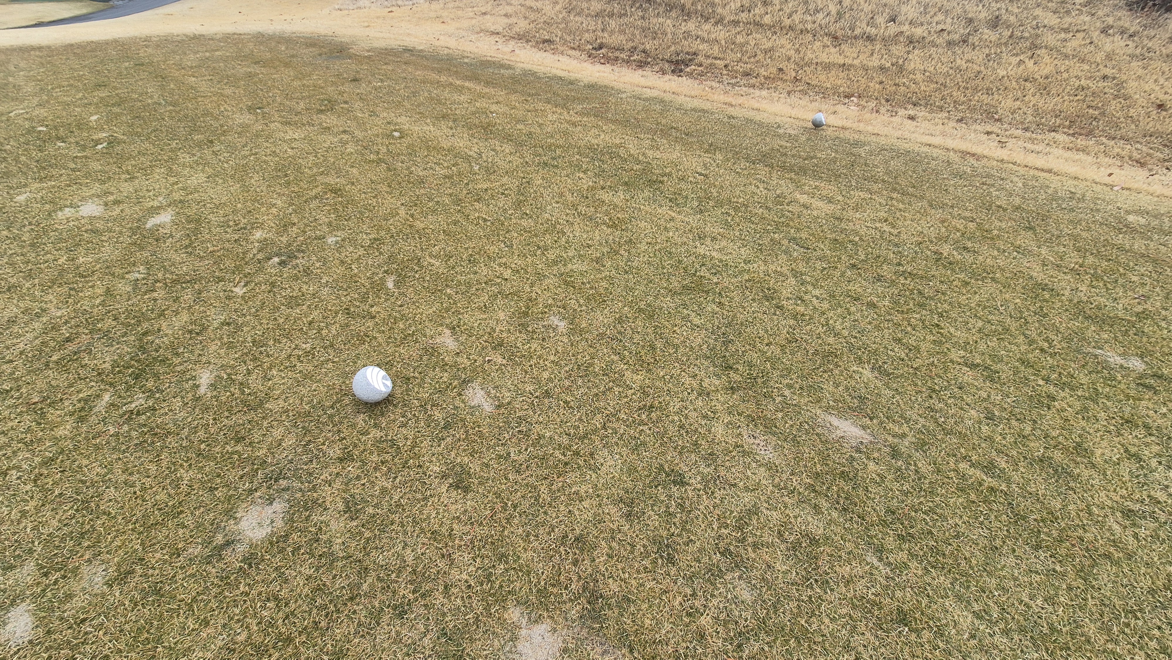 세현cc 티잉구역 상태