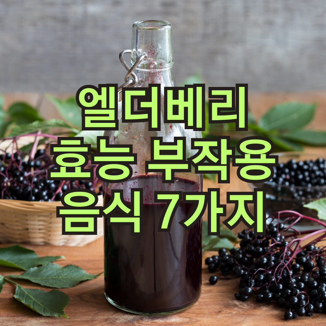 엘더베리 효능 과다 섭취 부작용, 하루 섭취 권장량, 많은 음식 7가지