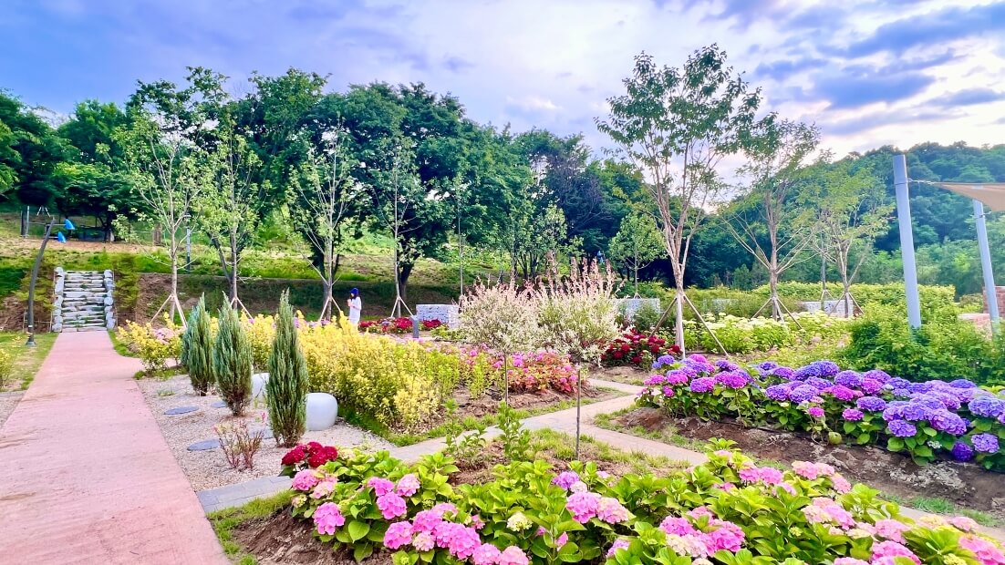 경북 구미 다온숲 수국명소 주차