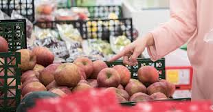 2025 농식품바우처 신청