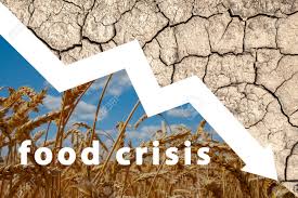 인구 증가에 따른 식량 부족 문제와 해결 방안