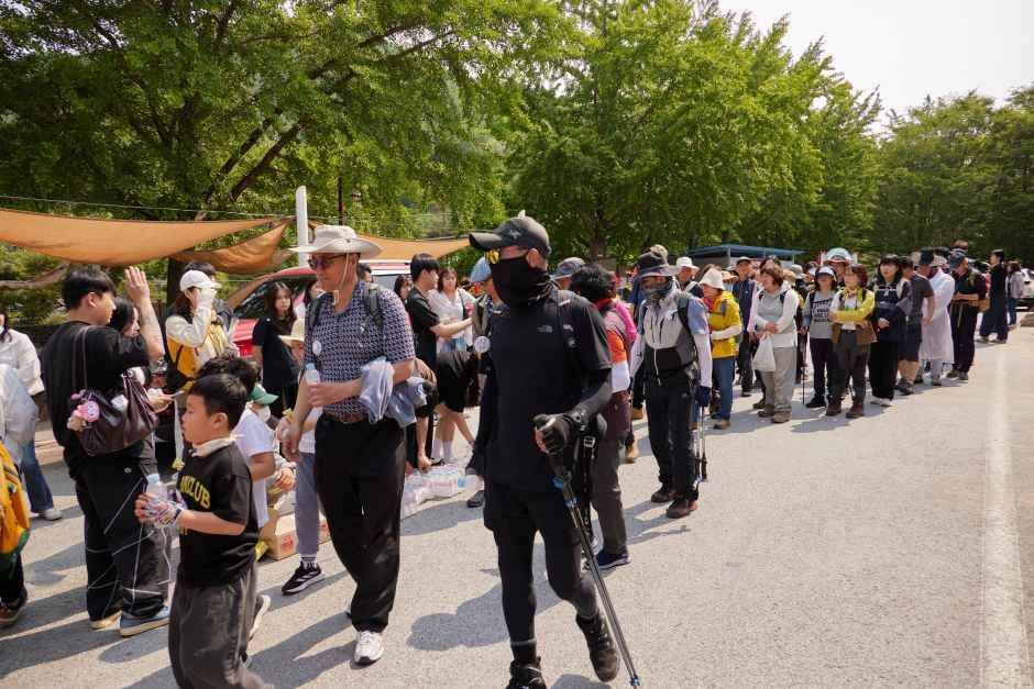 영주 소백산 철쭉제