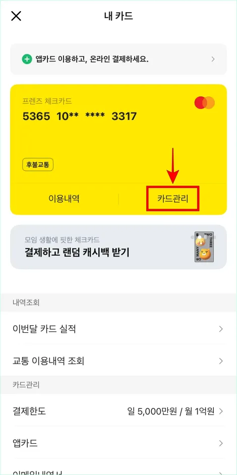 표시되는 카드의 '카드관리'를 선택