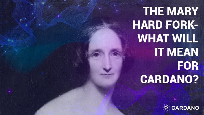 메리-하드포크-에이다