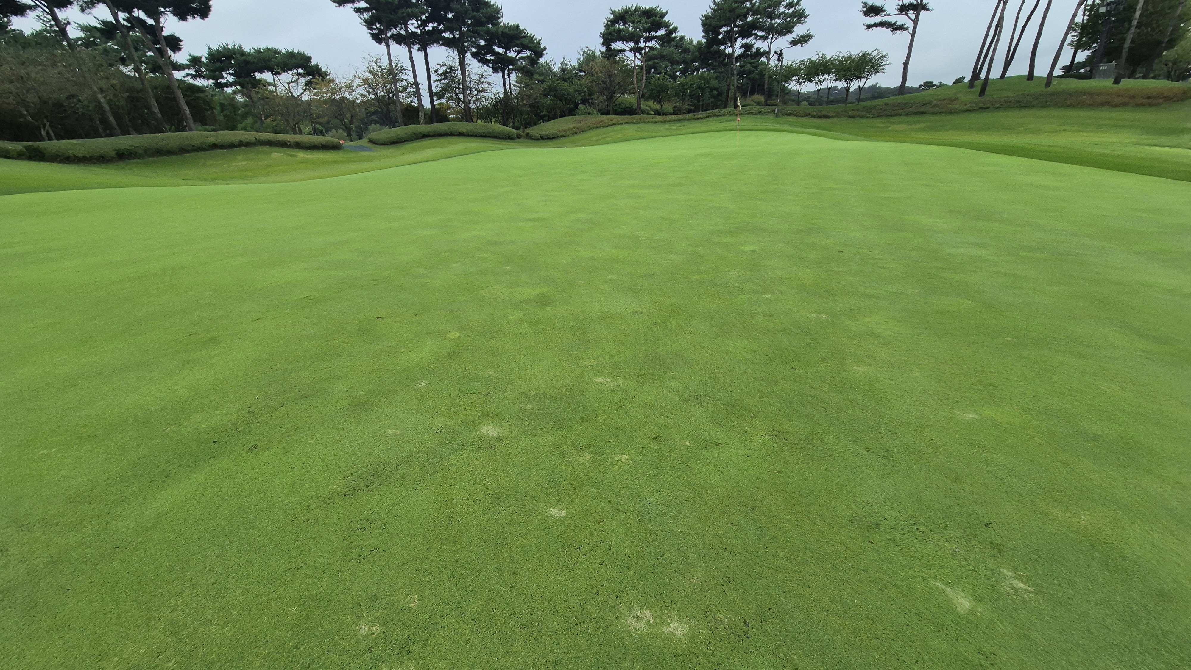 파인스톤cc 그린 빠르기 및 난이도