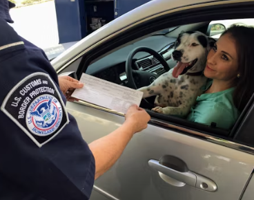 국비 요양보호사 자격증 취득방법