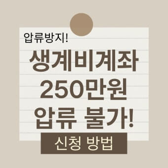 생계비 보호 계좌