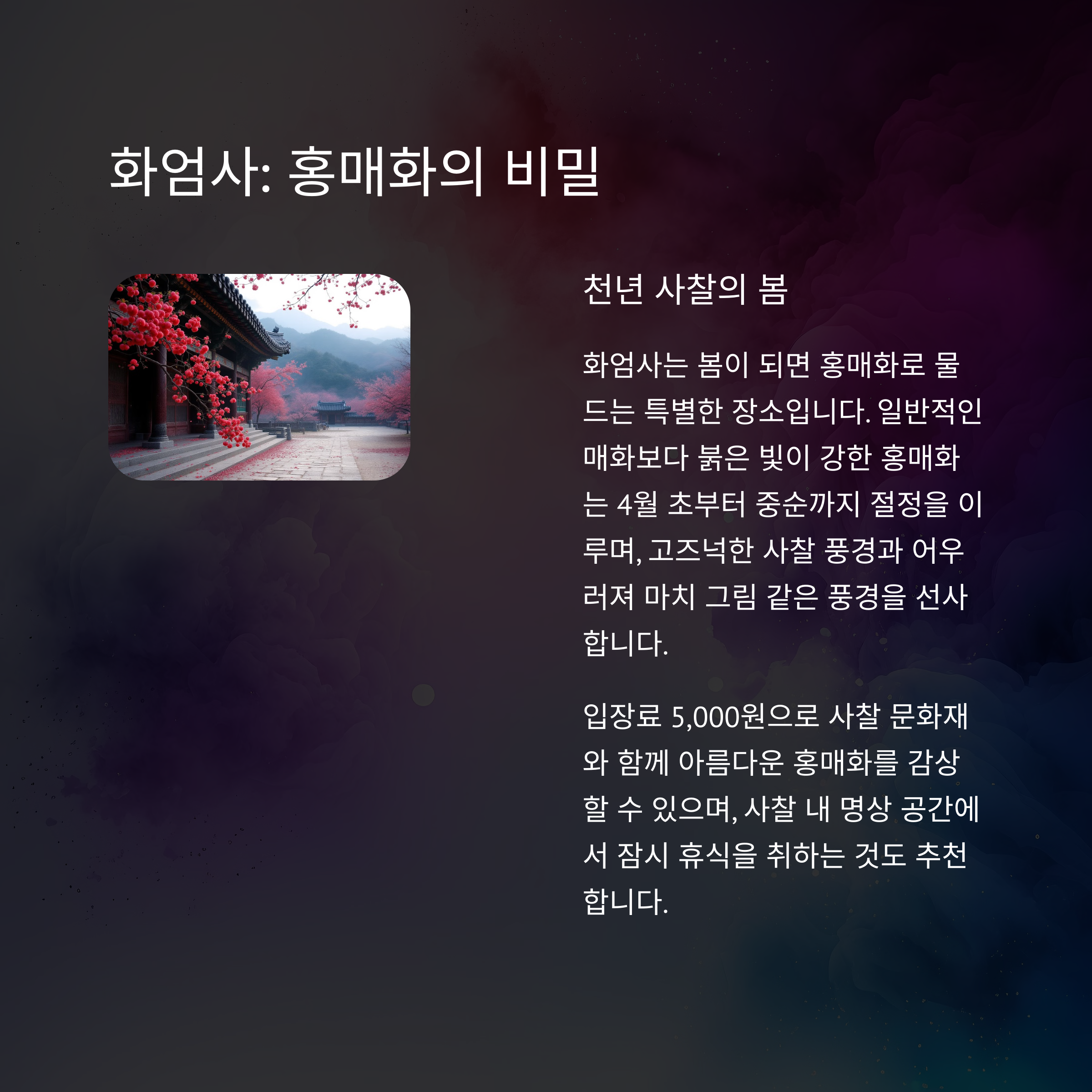 봄꽃여행 어디로 갈까? 벚꽃&amp;#44; 매화&amp;#44; 수선화 명소 완벽 가이드