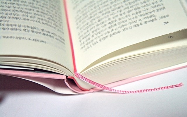 책 안에 끈,가름끈,팁줌