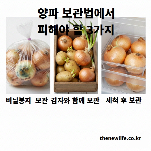 양파 보관법의 3가지 실수 이미지 &ndash; 비닐봉지 보관, 감자와 함께 보관, 세척 후 보관 금지