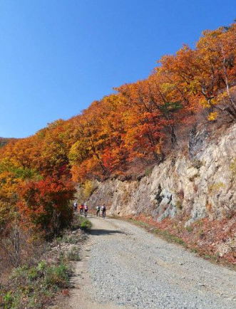 강원도 2025 단풍 산행 추천 코스 ❘ 설악산&middot;오대산&middot;치악산 절정 시기 안내