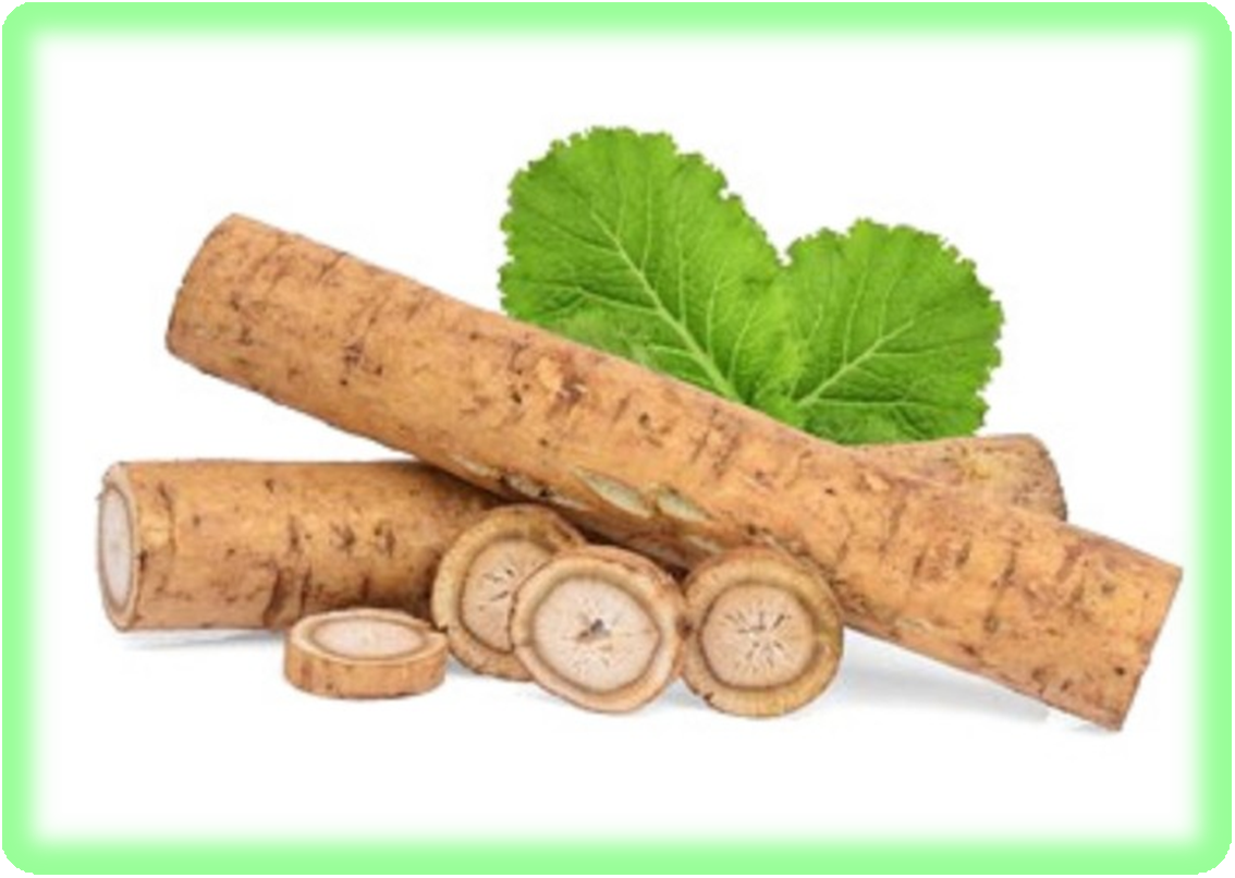 건강에 좋은 우엉 비밀은