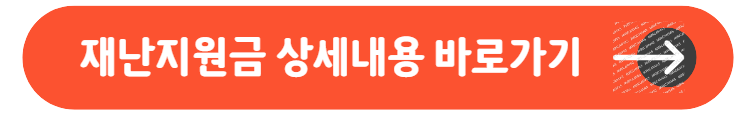 재난지원금 상세내용 바로가기