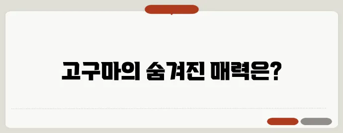 고구마효능은? 맛도 건강도 좋은 고구마! 이런분은 무조건 드세요!