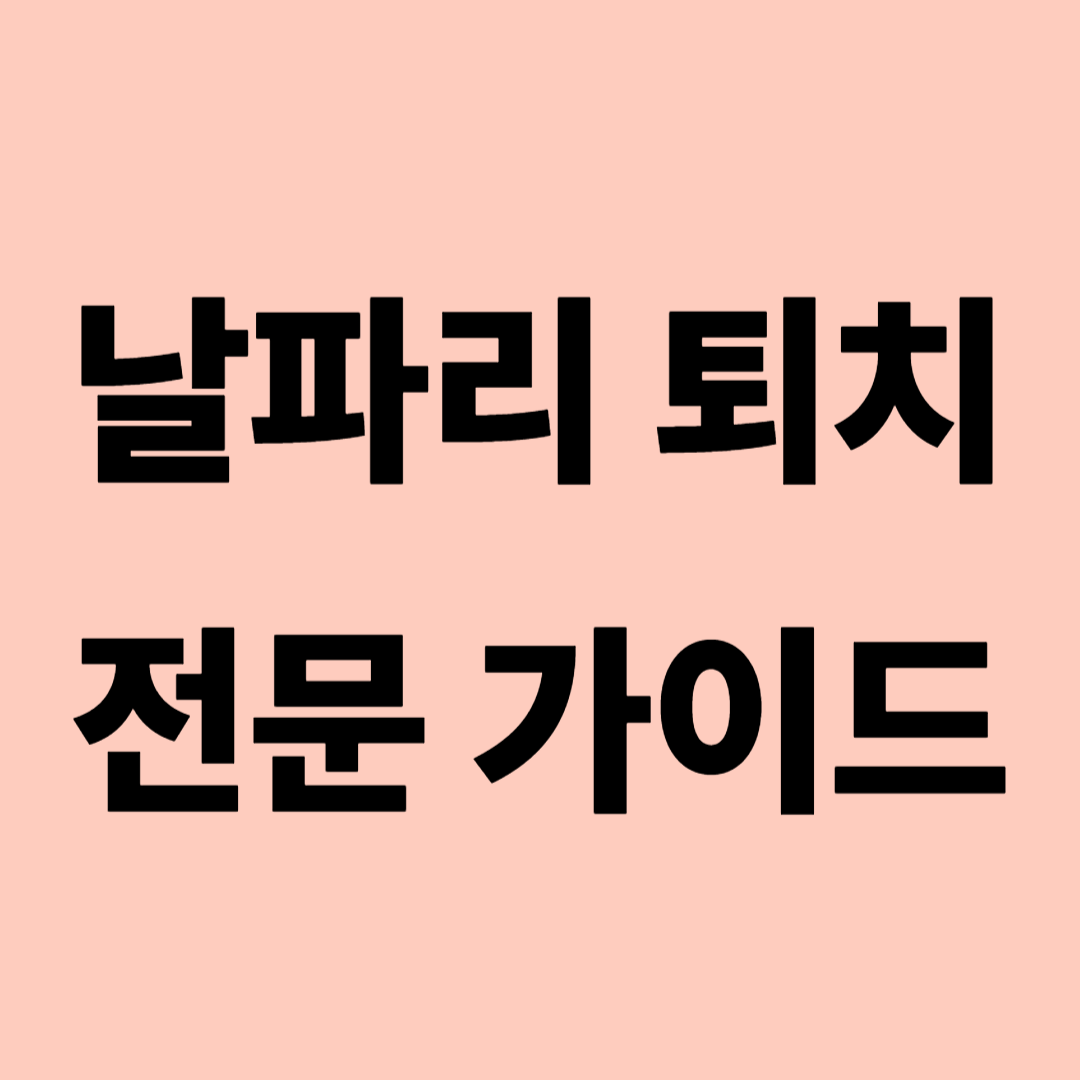 날파리 퇴치 전문 가이드 관련 사진