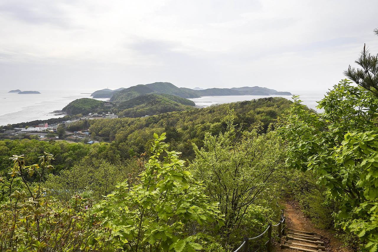 장봉도 트레킹 코스