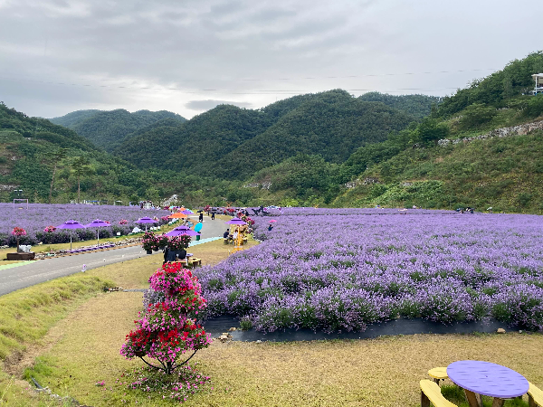 무릉별유천지