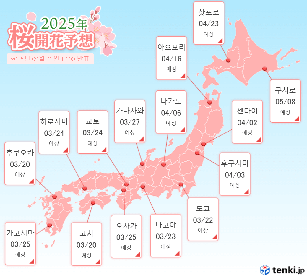 일본 벚꽃 개화시기 2025 관광 명소 (도쿄, 오사카, 후쿠오카, 나고야, 삿포로)